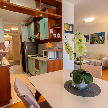 Apartman Large Stylish Ankica,free Public Parking Split